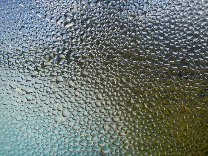 Collecting vaporised water.