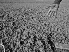 Drought in Karnataka
