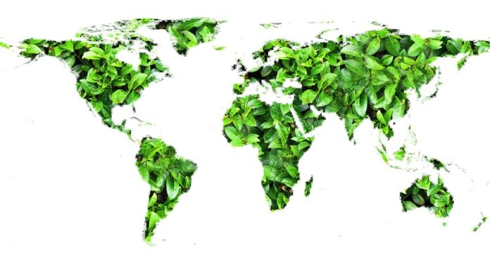 World Environment Day