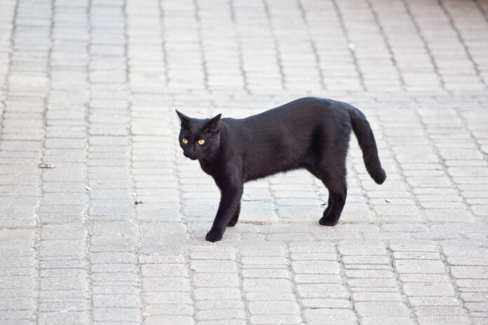 Superstitions in India