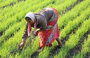 Women farmers of India