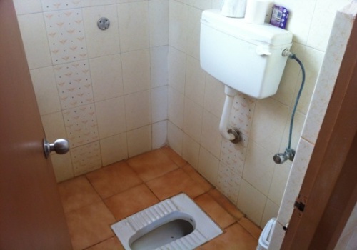 flush toilets