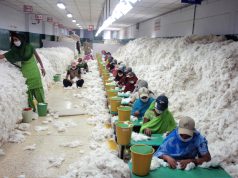 Supply Chains - Cotton Industry