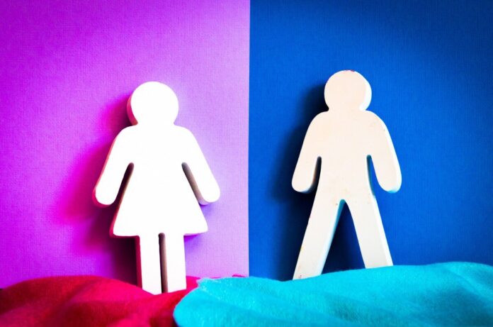 SDG Gender Index