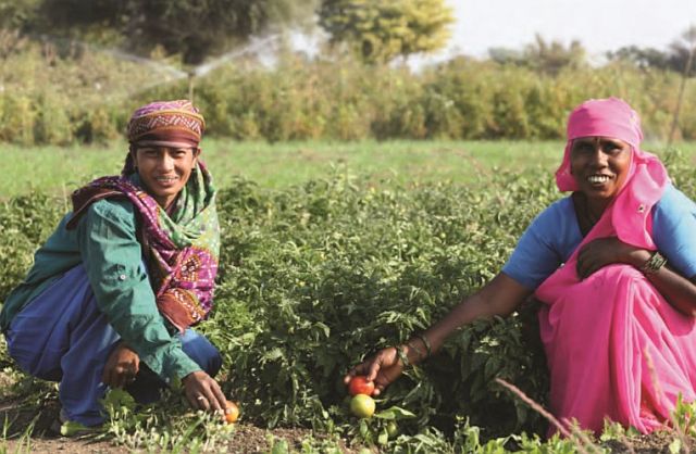 Drought mitigation in Maharashtra