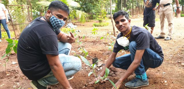 Back 2 the roots jam - tree plantation