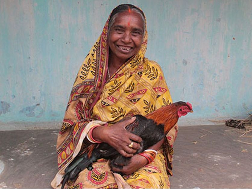 Backyard poultry farming for women