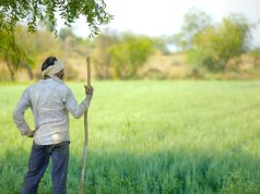 Indian Farmer