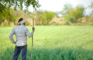 Indian Farmer