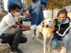 Helping Hands For Animals - vaccination drive