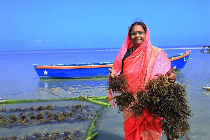 Hanifa Begum