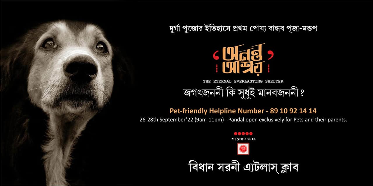 The poster of Bidhan Sarani Atlas Club displaying their helpline number for  pets - The CSR Journal