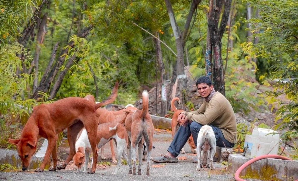 https://thecsrjournal.in/wp-content/uploads/2022/10/Ahish-Joshi-feeding-stray-dogs-1024x620.jpeg