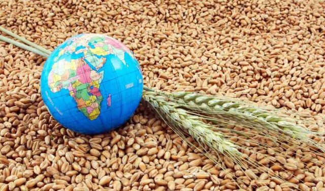 Global-Food-Security