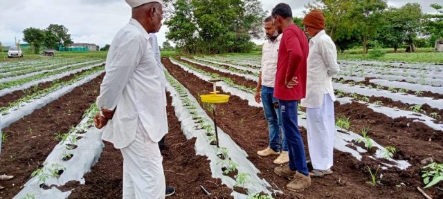 Flipkart Foundation and TechnoServe Join Forces to Empower Smallholder Farmers in Maharashtra and Andhra Pradesh