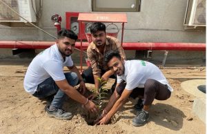 Tree Plantation Waaree Energies