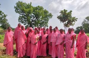 Women SHGs will be an active part of the afforestation programme