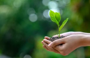 Top 10 Companies for CSR in Environment Conservation