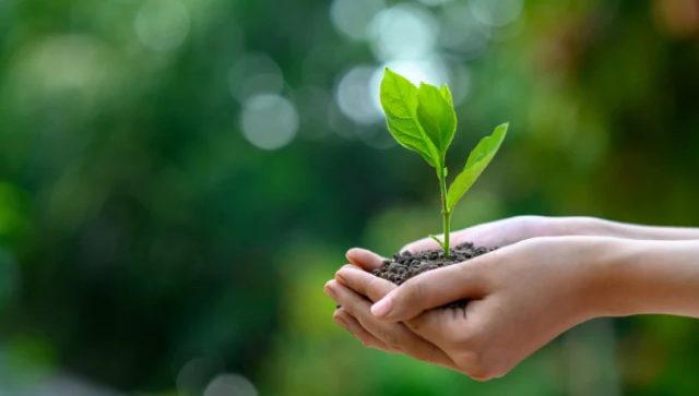 Top 10 Companies for CSR in Environment Conservation