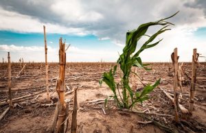 Agriculture Climate Change