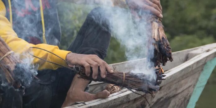 Fuelwood Dependence Persists in Jalpaiguri Despite LPG Push, Raising Environmental Concerns