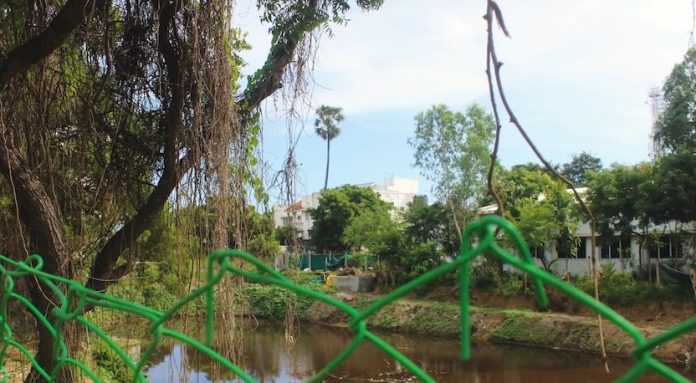 CSR Driving Environmental Sustainability with Successful Lake Restoration Initiatives