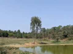 Mullur Lake East Bengaluru