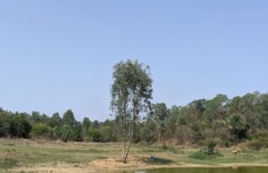 Mullur Lake East Bengaluru