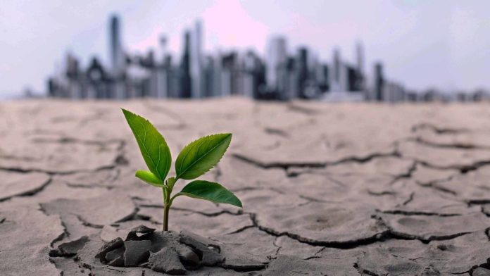The Last Generation able to fight the climate changes