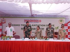 Cosmo Foundation launches large-scale Miyawaki Forest initiative