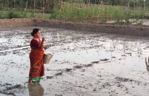 International Day of Rural Women