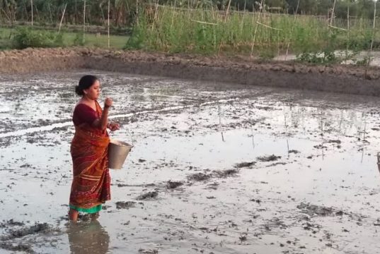 International Day of Rural Women