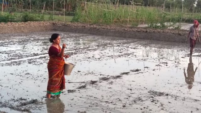 International Day of Rural Women