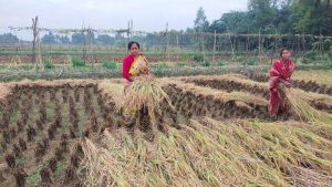 Organic Farming in WB