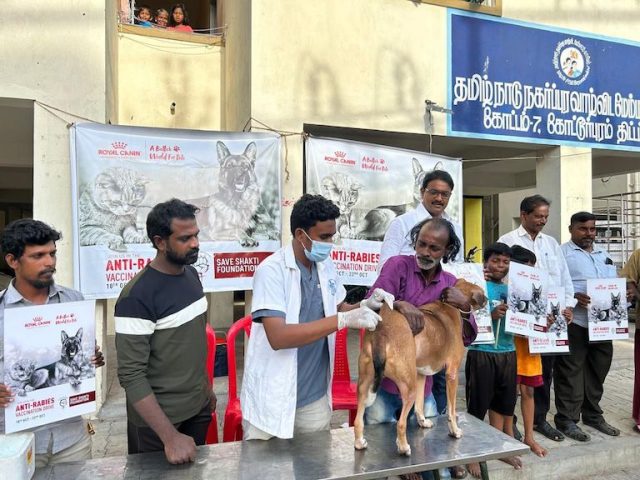 Royal Canin ARV Kick Off Photo Credit Save Shakti Foundation