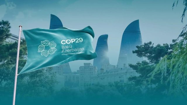 COP 29