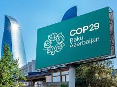 COP 29