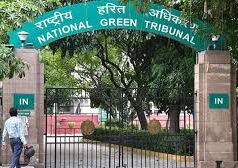 National Green Tribunal