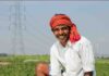 CSR News: Ambuja Cements supports farmers in West Bengal's Farakka with innovative irrigation and high-value crop cultivation