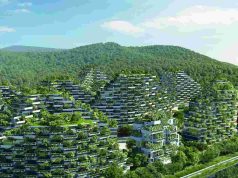 Forest City China