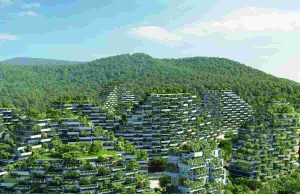 Forest City China