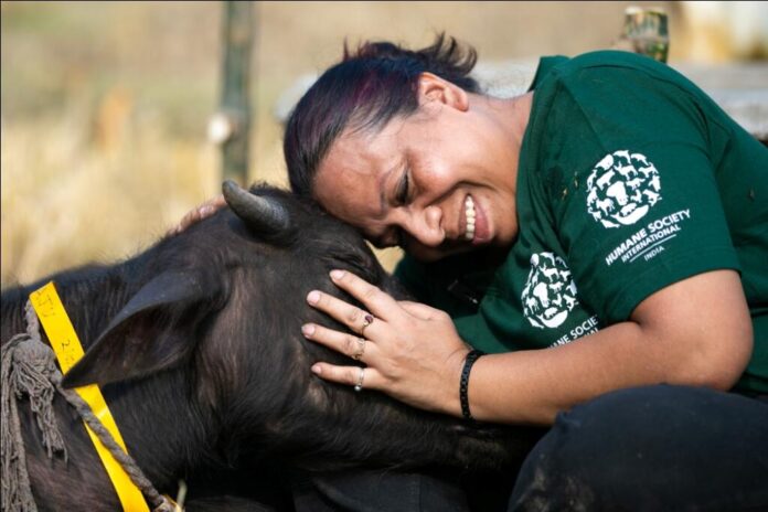 Animal charity Humane Society International India to become “Humane World for Animals”