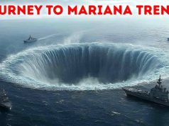 mariana trench