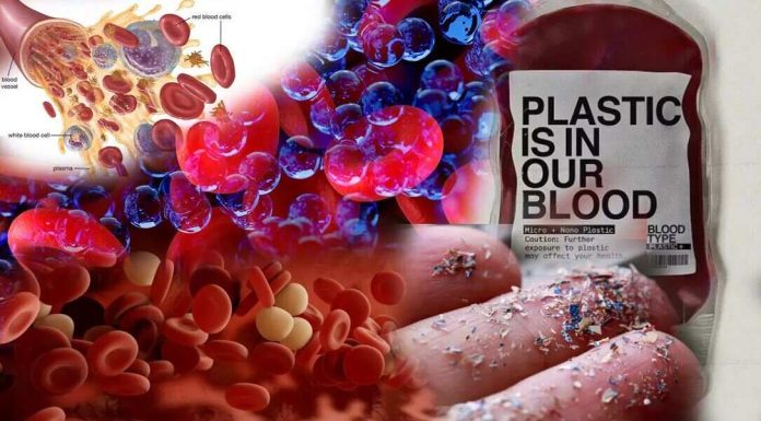 Microplastic In Human Body