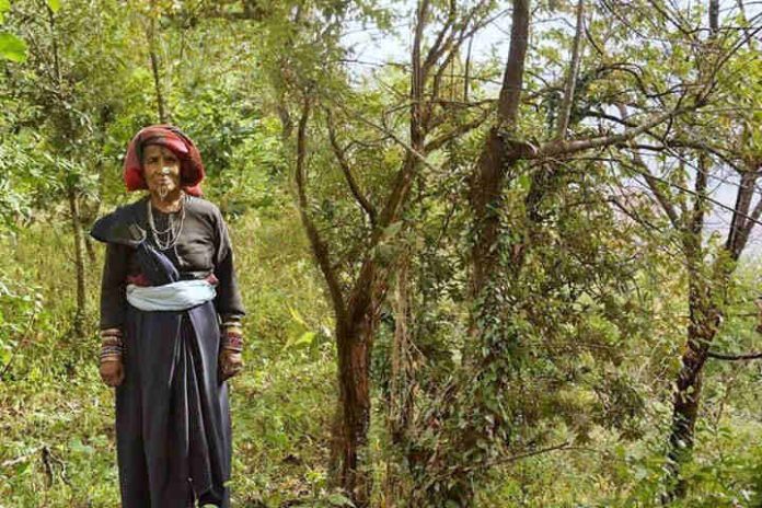 Prabha Devi Jungle Wali Dadi