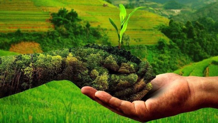 Yogi Government Natural Farming: प्राकृतिक खेती को और विस्तार देगी योगी सरकार