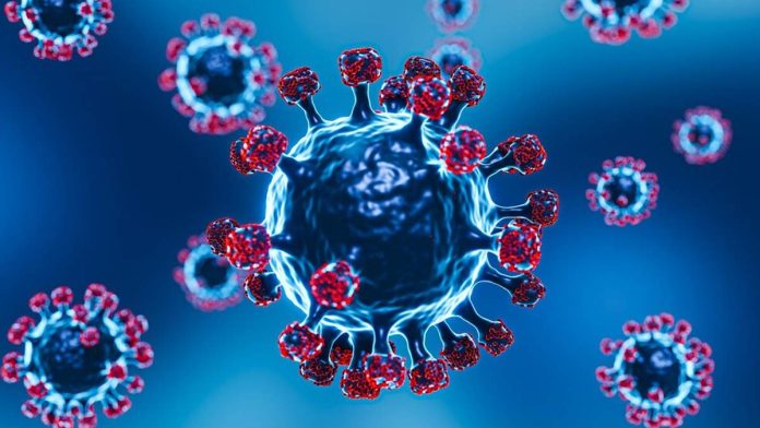CORONAVIRUS LP 8.1