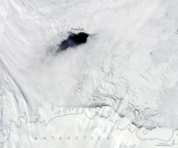 polynya