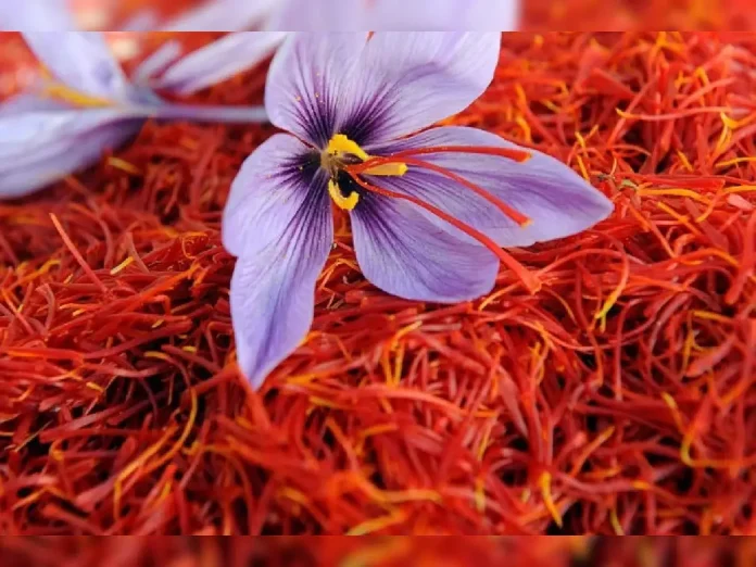 Kesar Kashmir