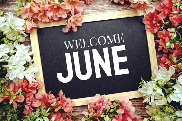 List of Important National and International Days in June 2025